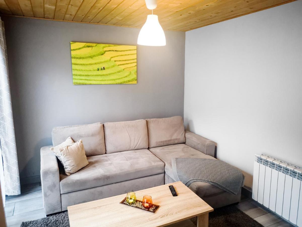 Apartamenty Mountain View - Bezplatny Parking Krynica Zdroj Ngoại thất bức ảnh